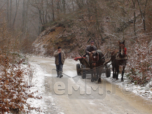 Foto: Valea Borcutului (c) eMaramures.ro